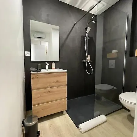 Studio 27M² Sur La Cote Pavee Avec Parking Prive Toulouse Extérieur photo