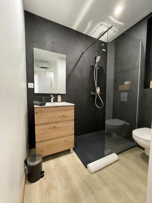 27m² Sur La Cote Pavee Avec Parking Prive Appartement Toulouse